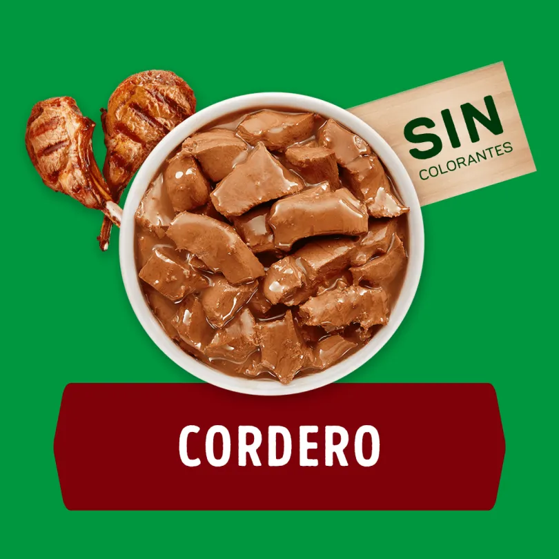 Purina Dog Chow Alimento Húmedo Adulto Cordero 100gr