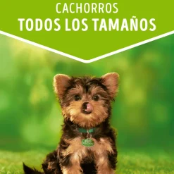 Purina Dog Chow Alimento Húmedo Cachorro Carne 100gr