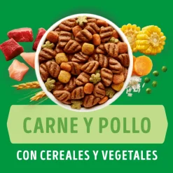 Purina Dog Chow Cachorros Razas Medianas y Grandes 18kg