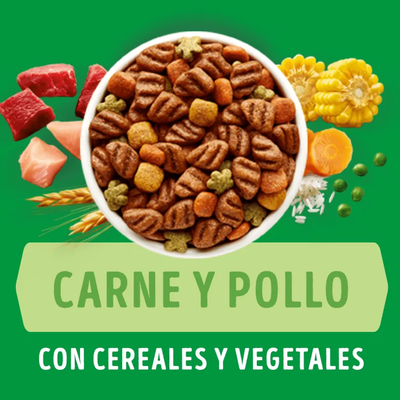 Purina Dog Chow Cachorros Razas Medianas y Grandes 18kg
