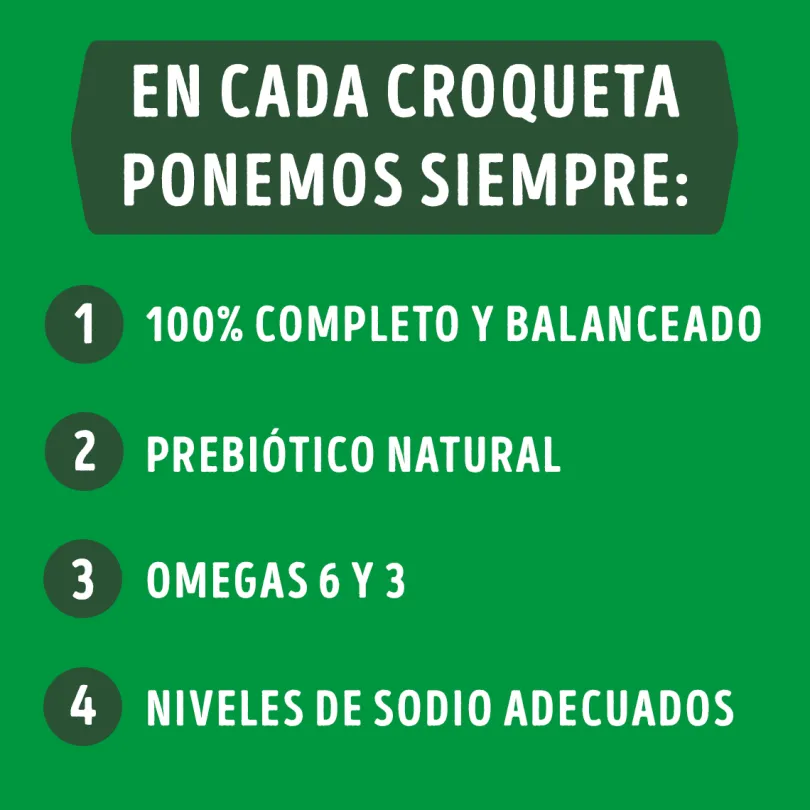 Purina Dog Chow Cachorros Razas Medianas y Grandes 18kg