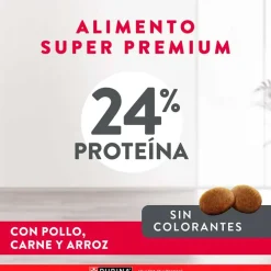 Purina Excellent Adult Chicken & Rice Medium & Large Breed 15kg