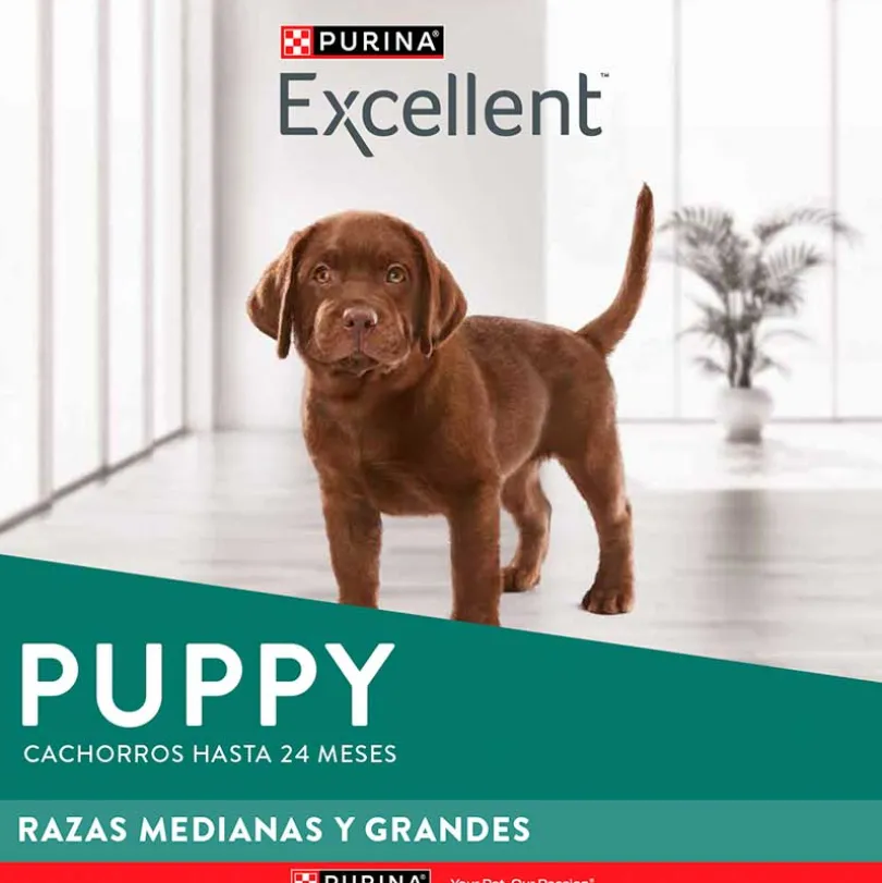 Purina EXCELLENT® Cachorros Razas Medianas y Grandes 15kg