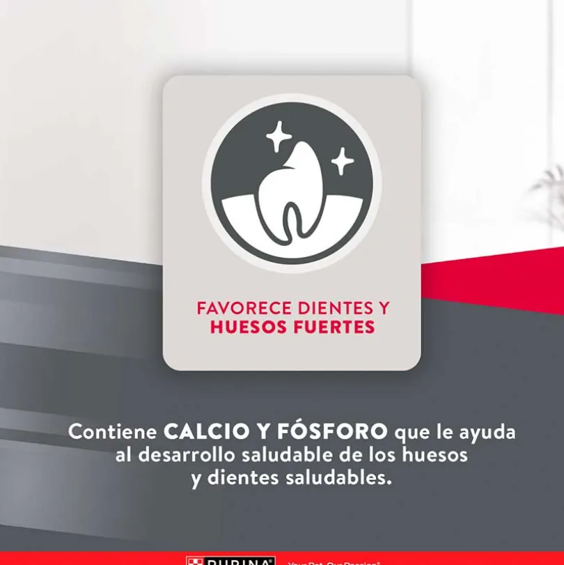 Purina EXCELLENT® Cachorros Razas Medianas y Grandes 15kg