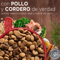 PURINA® ONE® Adulto Mediano y Grande Pollo y Cordero 2kg
