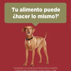 PURINA® ONE® Adulto Mediano y Grande Pollo y Cordero 2kg