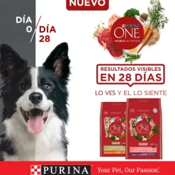 PURINA® ONE® Adulto Mediano y Grande Pollo y Cordero 6kg
