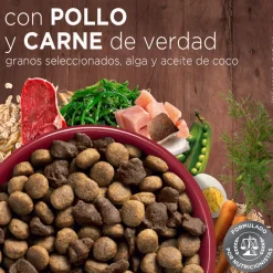 PURINA® ONE® Adulto Mediano y Grande Pollo y Carne 6kg