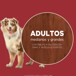 PURINA® ONE® Adulto Mediano y Grande Pollo y Carne 6kg