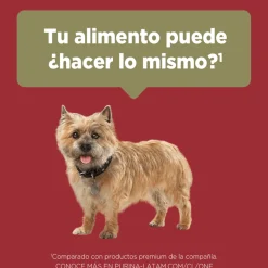 PURINA® ONE® Adulto Mini y Pequeño Pollo y Cordero 6kg