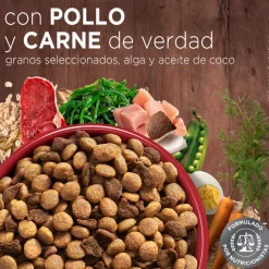 PURINA® ONE® Adulto Mini y Pequeño Pollo y Carne 2kg