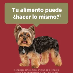 PURINA® ONE® Adulto Mini y Pequeño Pollo y Carne 2kg