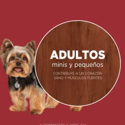PURINA® ONE® Adulto Mini y Pequeño Pollo y Carne 2kg