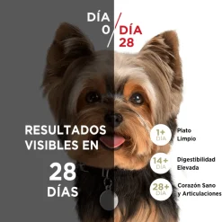 PURINA® ONE® Adulto Mini y Pequeño Pollo y Cordero 2kg