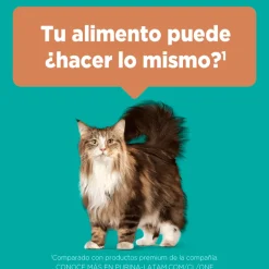 PURINA® ONE® Adulto Pollo y Salmón 2kg