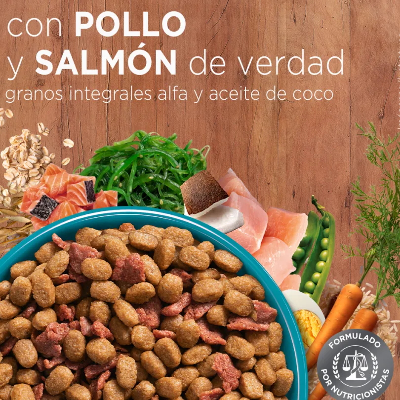 PURINA® ONE® Adulto Pollo y Salmón 6kg