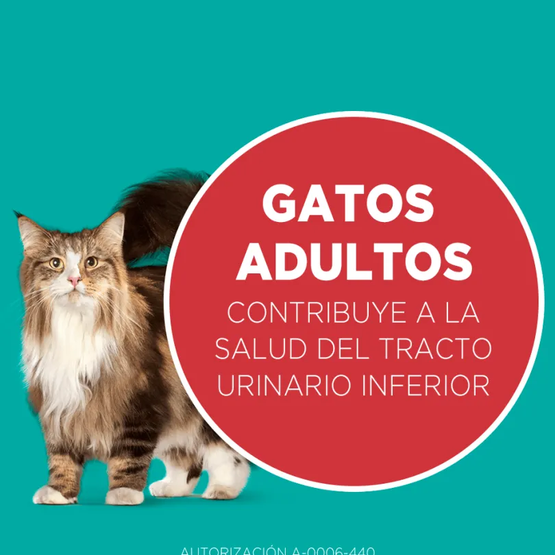 PURINA® ONE® Adulto Pollo y Salmón 6kg