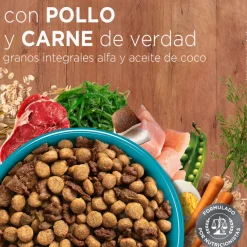 PURINA® ONE® Adulto Pollo y Carne 2kg