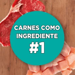 PURINA® ONE® Adulto Pollo y Carne 2kg