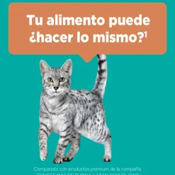 PURINA® ONE® Adulto Pollo y Carne 2kg