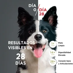 PURINA® ONE® Cachorro Pollo y Carne 12kg