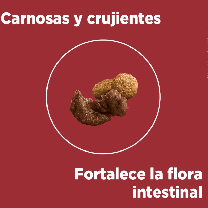 PURINA® ONE® Cachorro Pollo y Carne 12kg