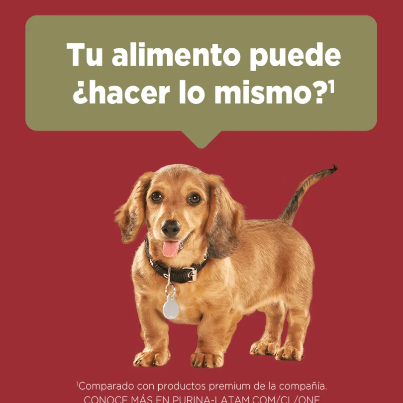 PURINA® ONE® Cachorro Pollo y Carne 12kg
