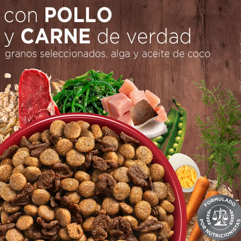PURINA® ONE® Cachorro Pollo y Carne 6kg