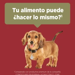 PURINA® ONE® Cachorro Pollo y Carne 6kg