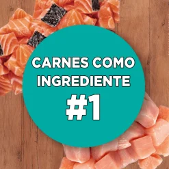 PURINA® ONE® Esterilizado Pollo y Salmón 6kg