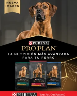 Purina Pro Plan Active Mind 7+ Small con OptiAge 7.5kg