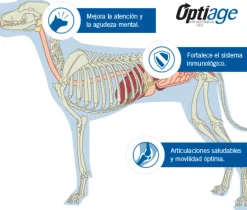 Purina Pro Plan Active Mind 7+ Small con OptiAge 7.5kg