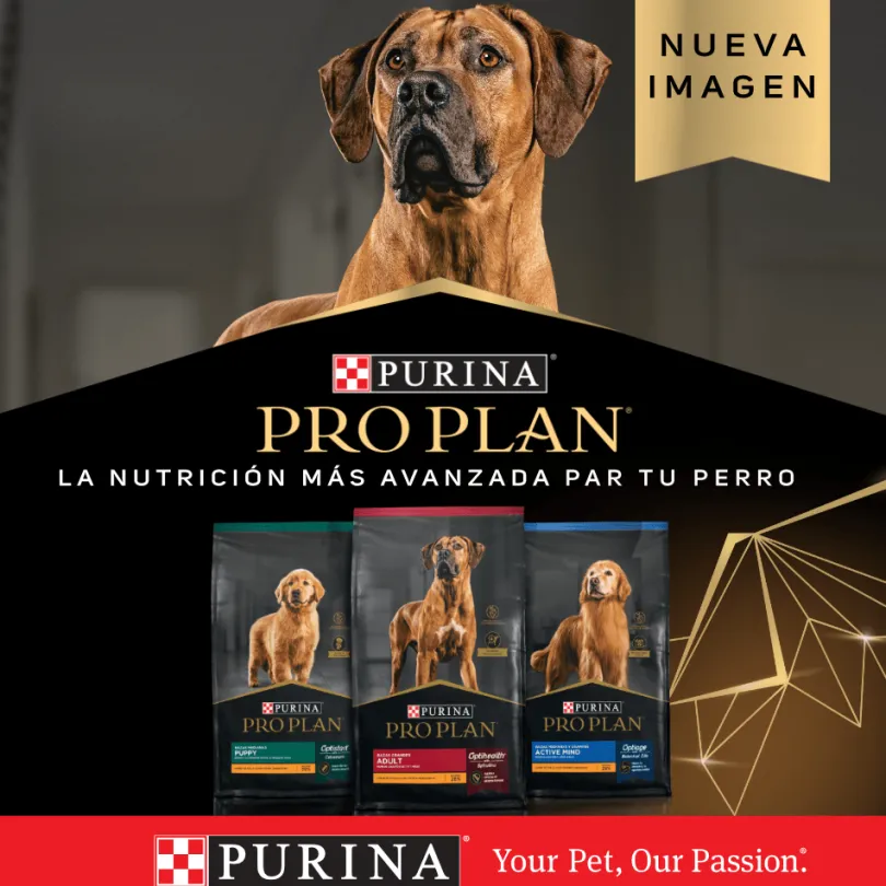 Purina Pro Plan Active Mind 7+ Medium and Large con OptiAge 15kg