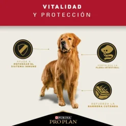 Purina Pro Plan Adult Razas Medianas Con Optihealth 12 kg