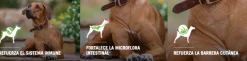 Purina Pro Plan Adult Small con OptiLife 7.5kg