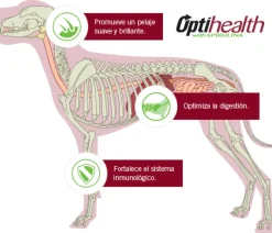 Purina Pro Plan Adult Small con OptiLife 3kg