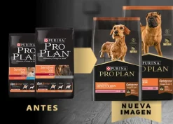 Purina PRO PLAN Adulto Raza Pequeña Sensitive Skin 3kg