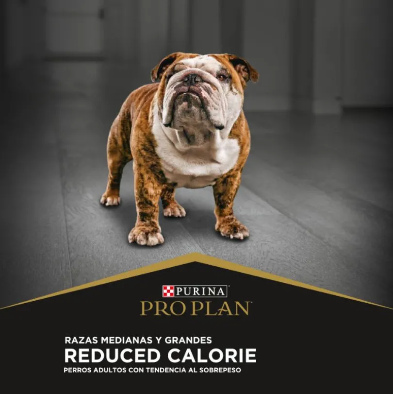 Purina Pro Plan Adulto Raza Mediana y Grande Reduced Calorie 12 kg