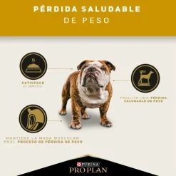 Purina Pro Plan Adulto Raza Mediana y Grande Reduced Calorie 12 kg