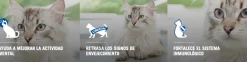 Purina Pro Plan Cat Adult +7 con OptiAge 3kg