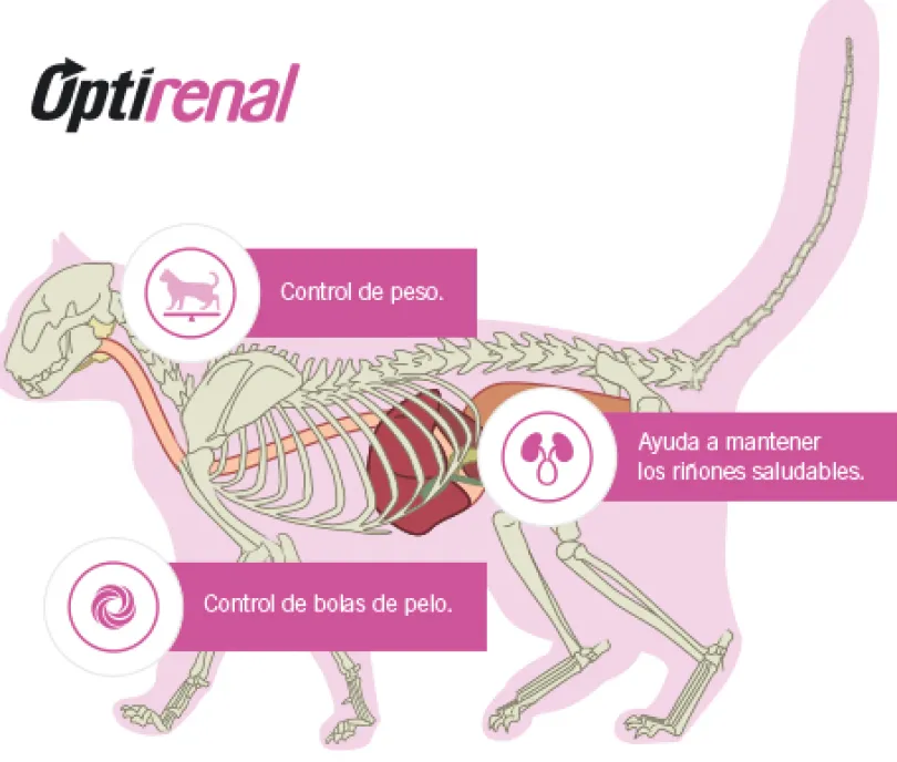 Purina Pro Plan Cat Sterilized con OptiRenal 7.5kg