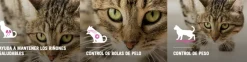Purina Pro Plan Cat Sterilized con OptiRenal 7.5kg