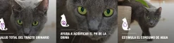 Purina Pro Plan Cat Urinary con OptiTract 1kg