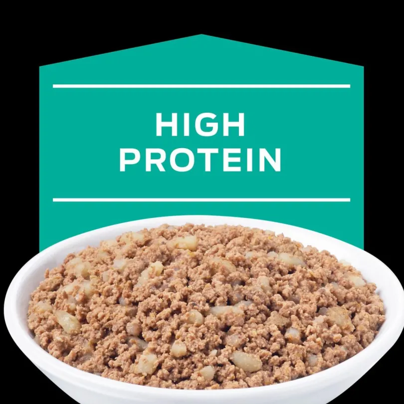 Purina Pro Plan EN Gastroenteric Felino Lata 156gr