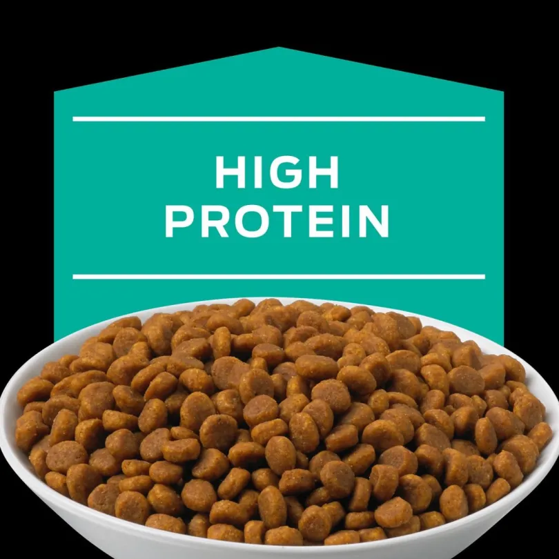 Purina Pro Plan EN Gastroenteric Felino 1.5kg