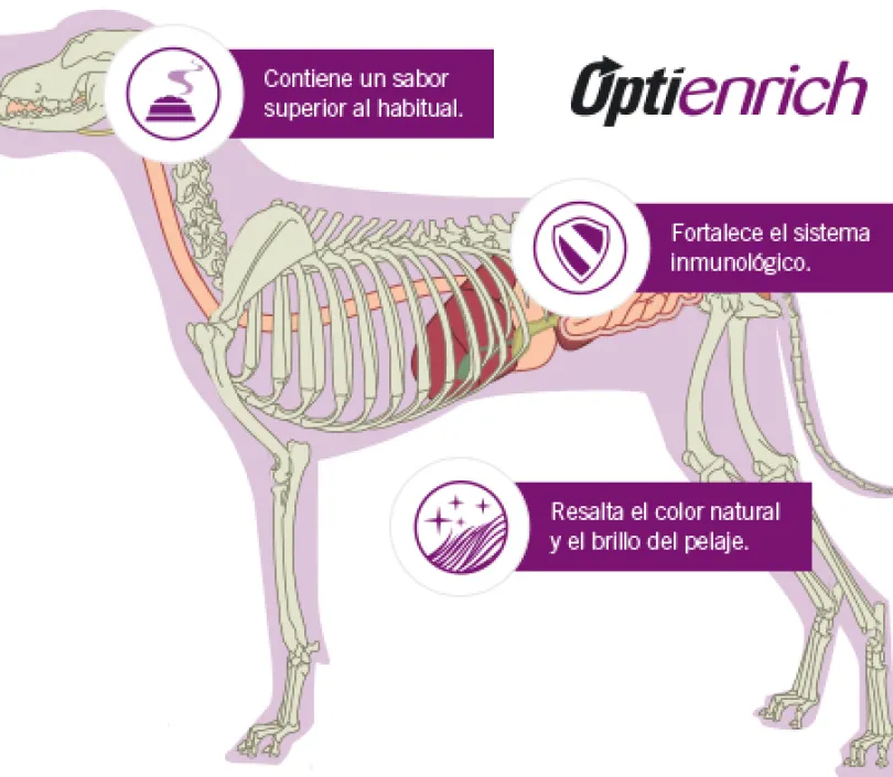 Purina Pro Plan Exigent Small con OptiEnrich 7.5kg
