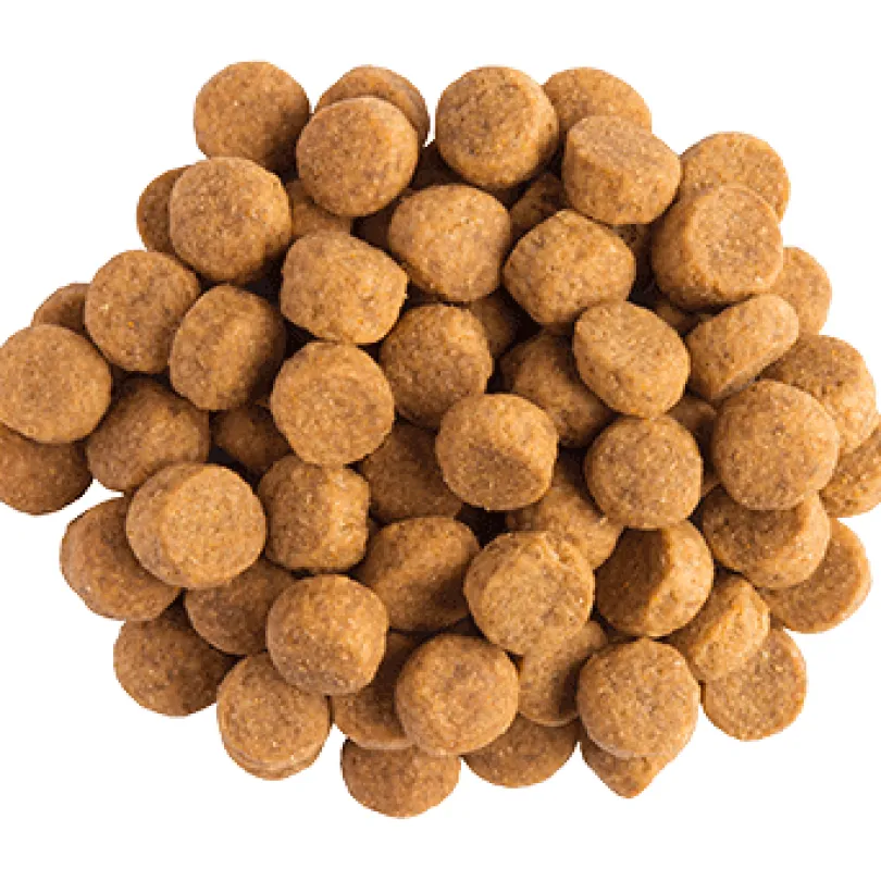 Purina Pro Plan JM Joint Mobility Canino 2kg