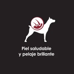 Purina Pro Plan Perro Adulto Lata 368.5gr Pack 5 unidades