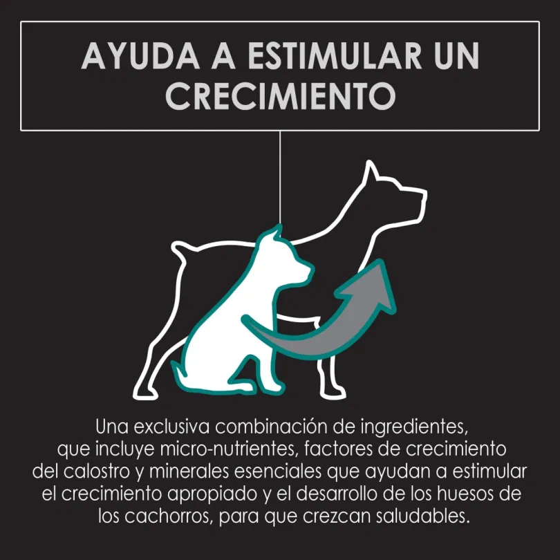 Purina Pro Plan Puppy Large con OptiStar 15kg