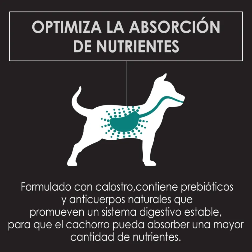 Purina Pro Plan Puppy Large con OptiStar 15kg